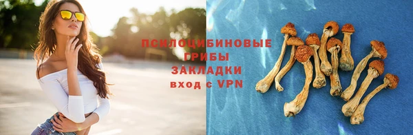 гашик Балабаново