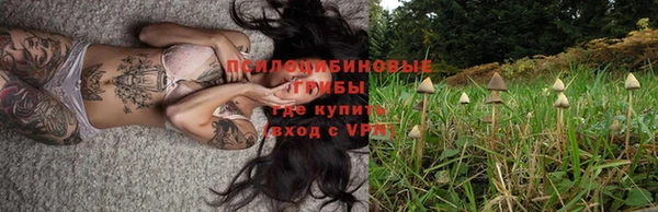 гашик Балабаново
