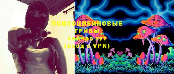 прущие крисы Балахна