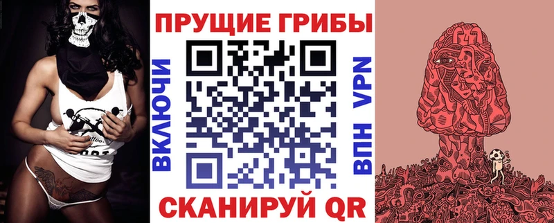 наркошоп  Балтийск  Псилоцибиновые грибы MAGIC MUSHROOMS 