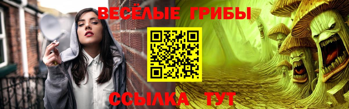 Балтийск  Галлюциногенные грибы Psilocybine cubensis  Псилоцибиновые грибы Cubensis  цены наркотик  Вход с VPN 